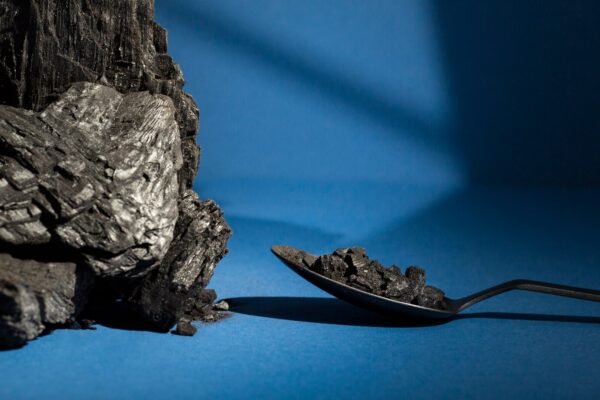 Himalayan Shilajit 10gram